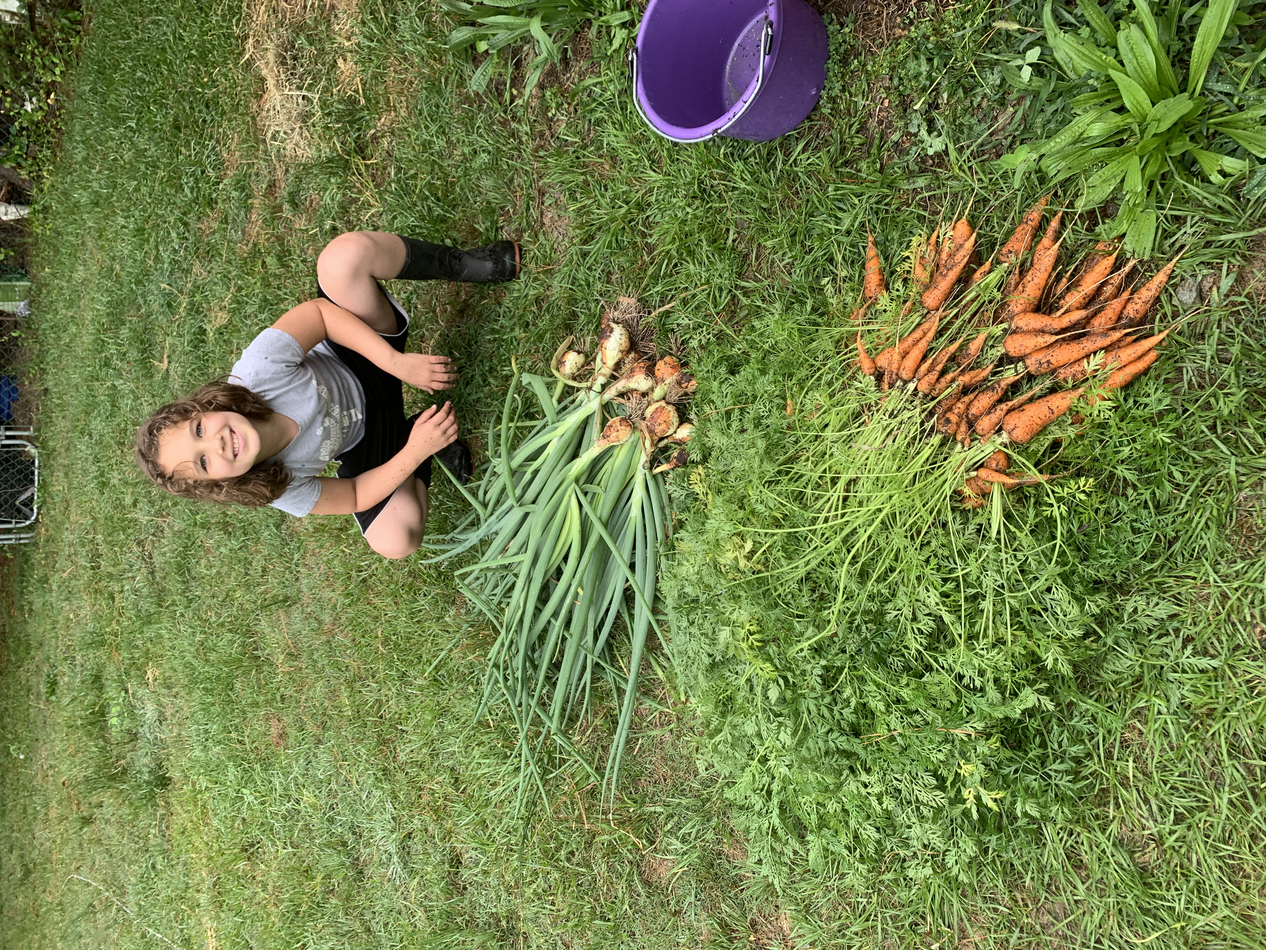 Garden Update